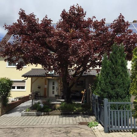 Apartmentvermietung Ingrid Bolkart - Voehlino 2 Illertissen Exteriör bild
