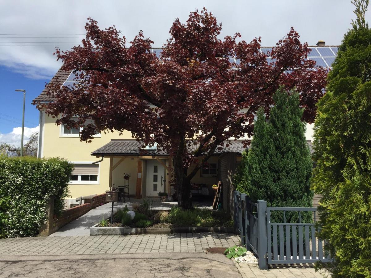 Apartmentvermietung Ingrid Bolkart - Voehlino 2 Illertissen Exteriör bild